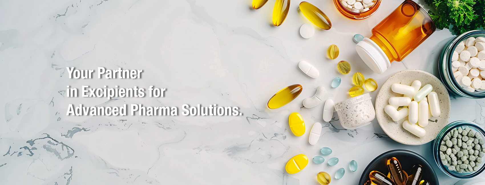 Your partner in excipients for advanced pharma solutions.